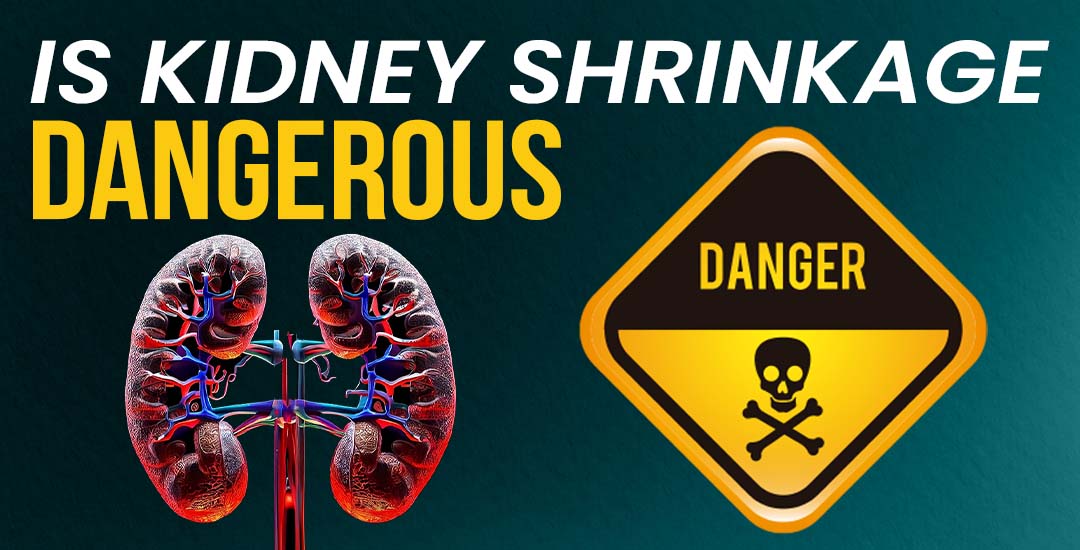 Is Kidney Shrinkage Dangerous?